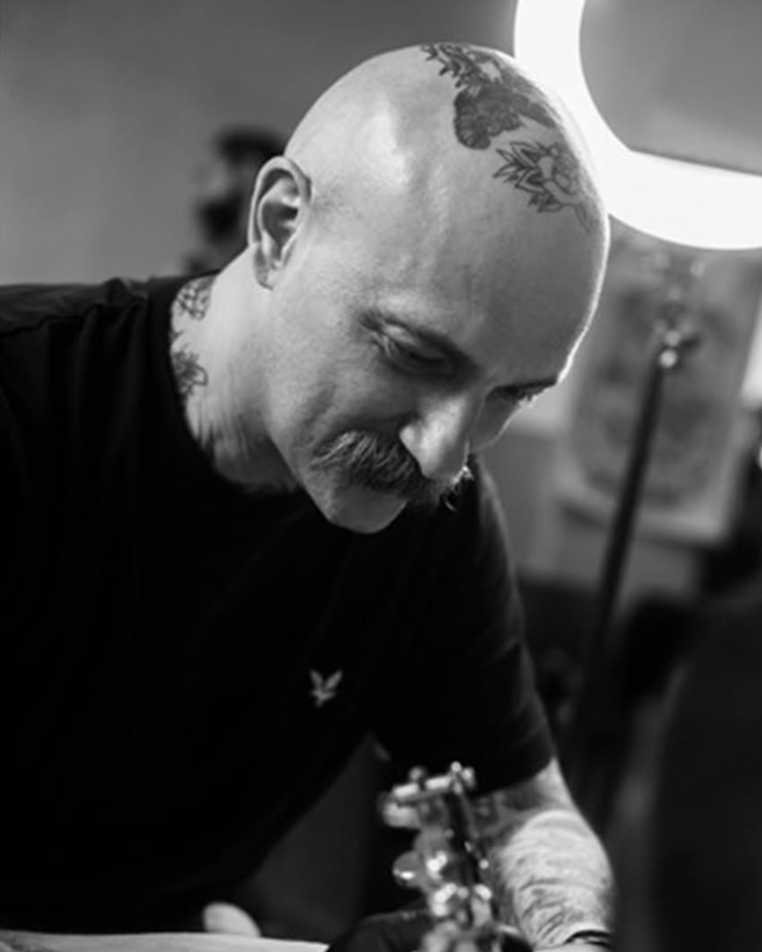 Trattoo 2026 4 DAVIDE ANDREOLI